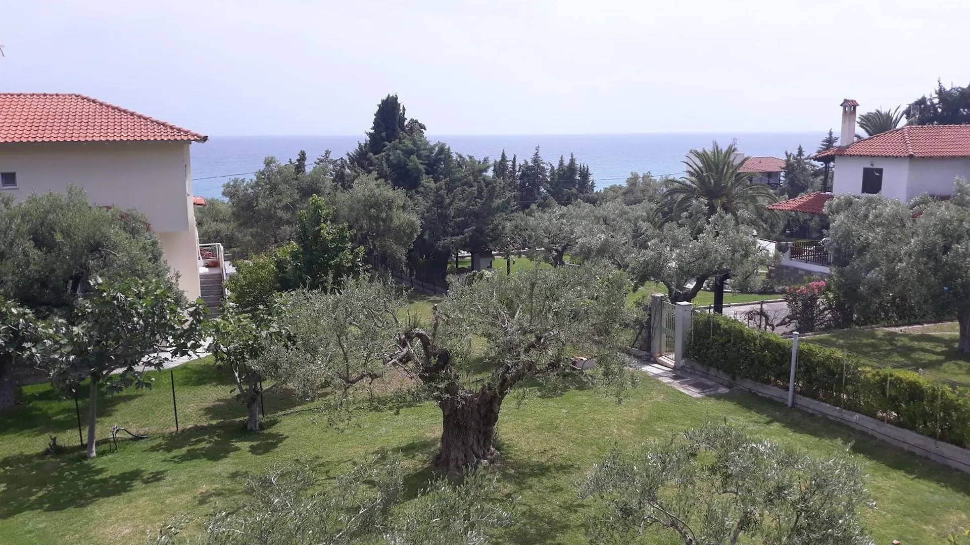 Petradaki Apartments Mola Kalyva